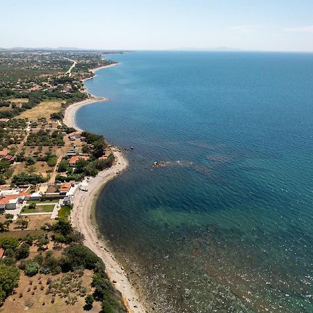 Papi'S Free Parking Villa Aleksandropolis Zewnętrze zdjęcie